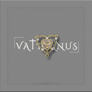 ENTREMEIO DIV. ESPÍRITO SANTO COM STRASS (2,4cm X 2,5cm)