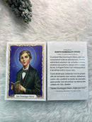 SÃO DOMINGOS SÁVIO - PACOTE C/ 100 SANTINHOS DE PAPEL