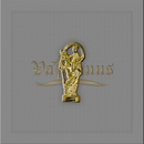 IMAGEM DE BOLSO VÁRIOS SANTOS Dourado