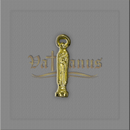 IMAGEM DE BOLSO VÁRIOS SANTOS Dourado