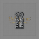 IMAGEM DE BOLSO VÁRIOS SANTOS Níquel