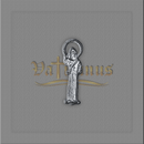 IMAGEM DE BOLSO VÁRIOS SANTOS Níquel