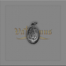 Medalha Nossa senhora Aparecida 2 x 1,2 cm