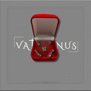 Mini Presépio Caixa de Veludo