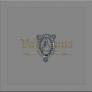 ENTREMEIO N.SRA.APARECIDA DOURADO COM STRASS 3 CM X 2 CM