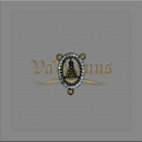 ENTREMEIO N.SRA.APARECIDA DOURADO COM STRASS 3 CM X 2 CM