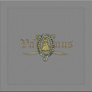 ENTREMEIO N.SRA.APARECIDA DOURADO COM STRASS 3 CM X 2 CM