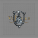 ENTREMEIO N.SRA. APARECIDA DOURADO COM STRASS 4,5 X 3CM