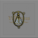 ENTREMEIO N.SRA. APARECIDA DOURADO COM STRASS 4,5 X 3CM