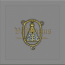 ENTREMEIO N.SRA. APARECIDA DOURADO COM STRASS 4,5 X 3CM