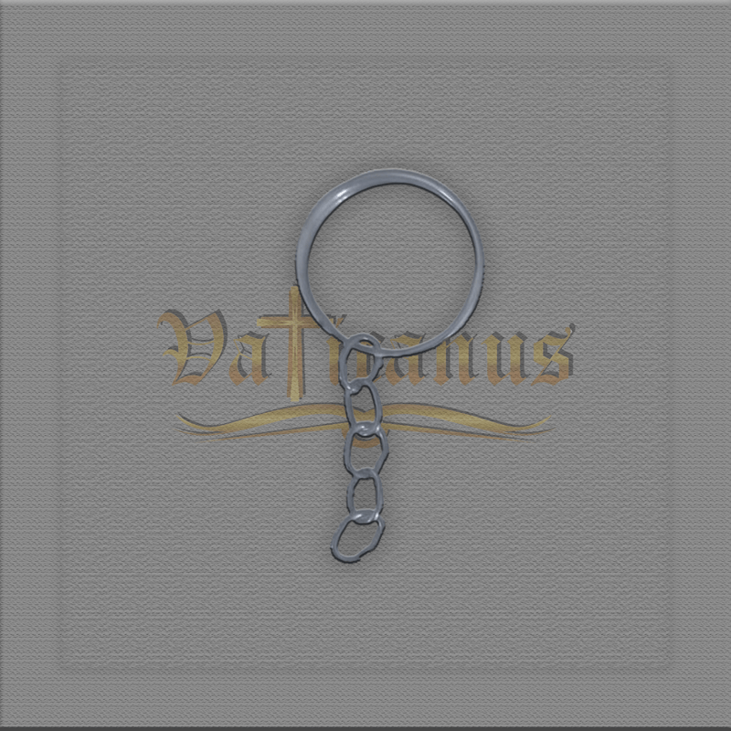 ARGOLA COM CORRENTE PARA MONTAGEM DE CHAVEIROS ( PACOTE COM 12)