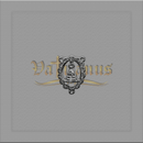 ENTREMEIO NOSSA SENHORA APARECIDA 2,2CM X 1,7CM