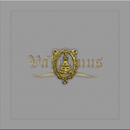 ENTREMEIO NOSSA SENHORA APARECIDA 2,2CM X 1,7CM