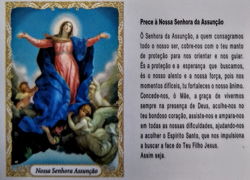 Santinho de papel Nossa Senhora da Assunção (pacote com 100)