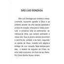 SÃO LUIZ GONZAGA- PACOTE C/ 100 SANTINHOS DE PAPEL